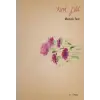 Kırık Jilet
