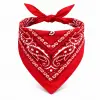 Kırmızı Kovboy Fuları Çocuk Bandana