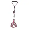 Köpek Göğüs Tasma Seti Daa Desenli 2 cm*40-58 cm Mor-Pembe