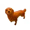 Köpekler - Collie Cinsi Köpek  - 1 ADET