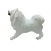 Köpekler - Samoyed Cinsi Köpek   - 1 ADET