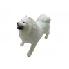 Köpekler - Samoyed Cinsi Köpek   - 1 ADET