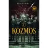 Kozmos 1: Arı ı ve Sinek