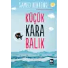 Küçük Kara Balık