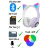 Kulak üstü Bluetooth kulaklık mor renk ANC mikrofon FM radyo SD kart aux girişli