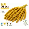 Kuşlar İçin Doğal Sarı Dal Darı 100 gr