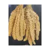 Kuşlar İçin Doğal Sarı Dal Darı 100 gr