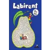 Labirent 5 Yaş