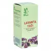 Lanta Yağı 20 cc