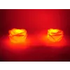 Led Işıklı Gül Romantik Gül