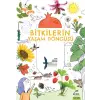 lerin Yaşam Döngüsü