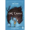 Linç Çıkmazı