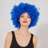 Mavi Renk Kıvırcık Afro Bonus Peruk Bx40
