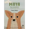 Maya - Sokaklardan Barınağa ve Sonunda Bir Yuvaya