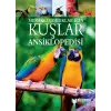 Meraklı Çuklar İçin Kuşlar Ansiklopedisi