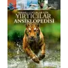 Meraklı Çuklar İçin Yırtıcılar Ansiklopedisi
