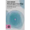 Metafiziğin Güzelliği