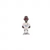 Minix Vincius