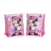 Minnie Kolluk 23x15 Cm 91038