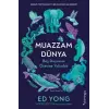 Muazzam Dünya: Beş Duyunun Ötesine Yolculuk