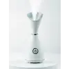 Nano İyonik Yüz Buhar Makinesi