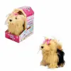NessiWorld Sevimli Köpek Terrier