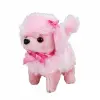 NessiWorldman Sevimli Köpek Poodle