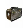Nostalji Radyo Bluetooth Hoparlör USB-SD Kart Giriş Led Fener Işıklı Bataryalı Pilli