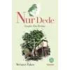 Nur Dede