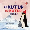 O Kutup Bu Kutup Değil!