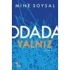 Odada Yalnız