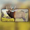 Oppo Reno 4  Full Glue Tempered Cam Ekran Koruyucu Full Kaplama-(5775)