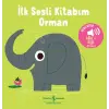 Orman - İlk Sesli Kitabım