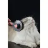 Otomatik Tuşlu Kendini Temizleyen Kedi Köpek Tarağı