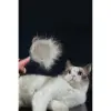 Otomatik Tuşlu Kendini Temizleyen Kedi Köpek Tarağı