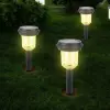 Panther Pt-b117 Solar Led Bahçe Lambası