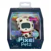 Petz Dalmaçyalı Dijital Evcil Hayvanını