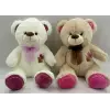 PL62224 35 CM AYI -HLY