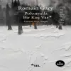 Polonyada Bir Kuş Var