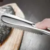 Pratik Balık Pulu Kazıyıcı Aparat