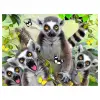 Prime 3D - Lemur Pelüş ve Selfie 48 Parça Puzzle 15801