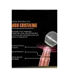 Profesyonel Çiftli Kablosuz Mikrofon Seti Karaoke Şarj Edilebilir 50 Metre Mesafe Rose