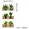 Raflı Bitki Tasarımlı Yapışkanlı Sticker 20*30 cm 3lü Set MC-663