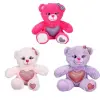 Renkli Sevimli Peluş Ayıcık 26 cm -1 Adet Stokta Olan Gönderilir