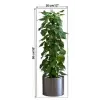 Saksılı Bitki Tasarımlı Yapışkanlı Sticker Resim 90*30 cm MC-665