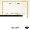 Sanat Nedir - Hasan Ali Yücel Klasikleri