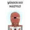 Şarjlı ve Uzun Pil Ömürlü Karaoke Mikrofon USB Bellek Destekli, Profesyonel Ses