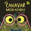 Sen Canar mısın Acaba?
