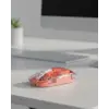 Sessiz Tıklamalı Şeffaf Mouse Bluetooth ve USB Uyumlu