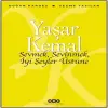 Sevmek, Sevinmek, İyi Şeyler Üstüne